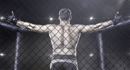 UFC live stream – Se Alexander ”The Maulers” Gustafsson fight!