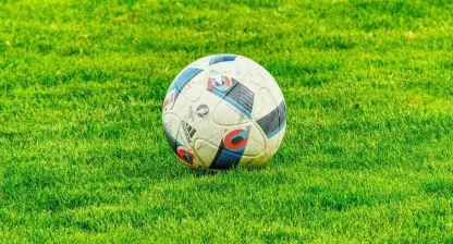 Fotbollen ligger i gräset.