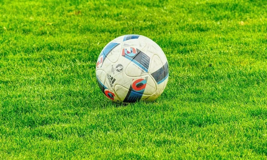 Fotbollen ligger i gräset.
