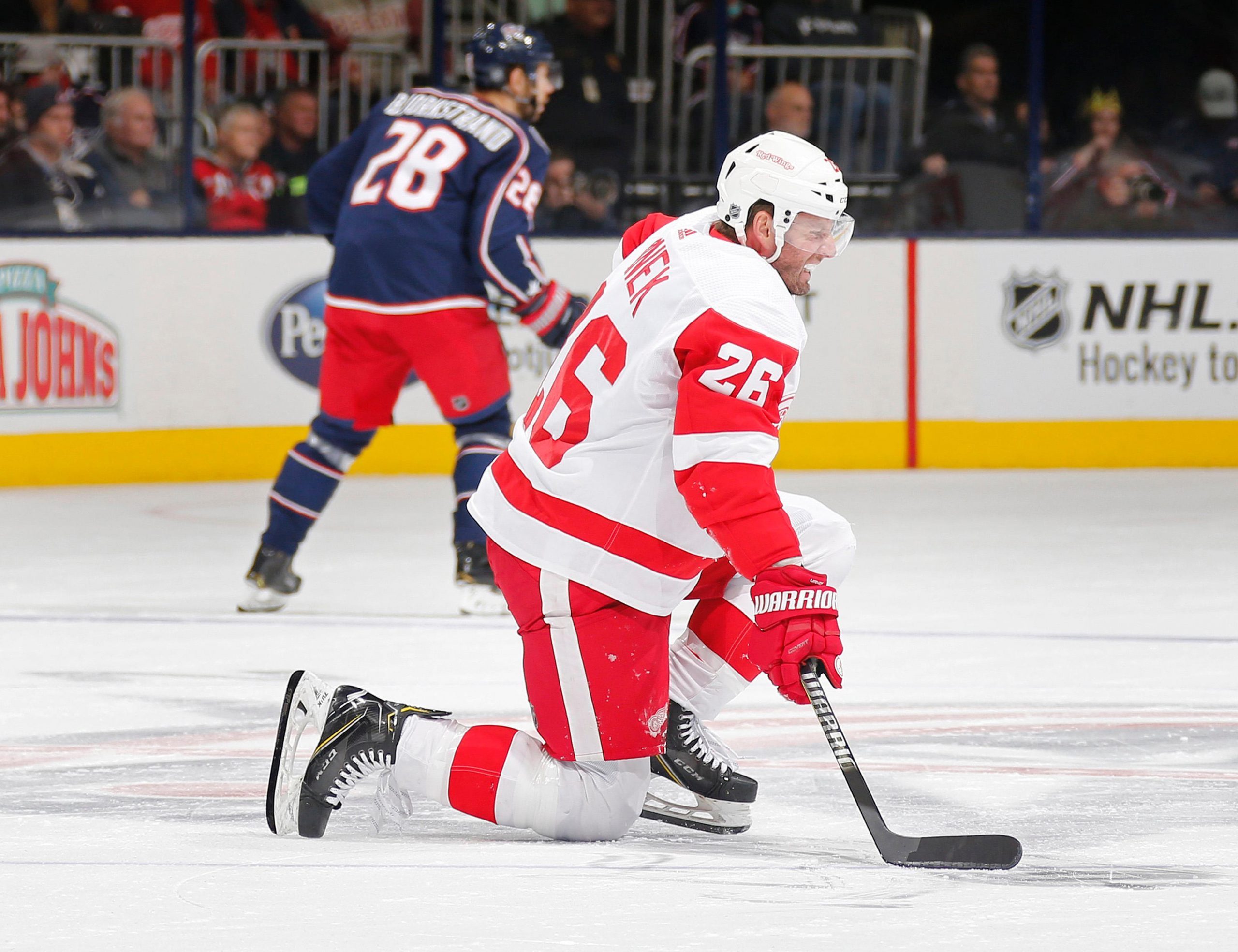 Hockeytipset: Odds & speltips på NHL & SHL (V.2)