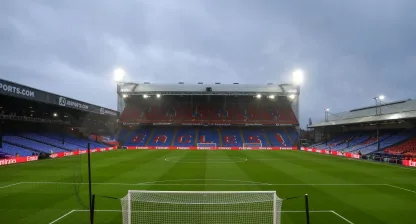 crystal palace arena selhorst park