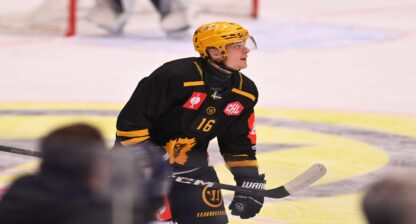 skellefteå aik ishockey