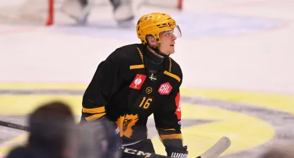 skellefteå aik ishockey