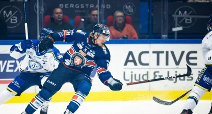 växjö lakers ishockey