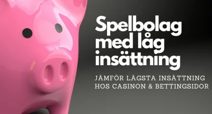spelbolag med låg insats