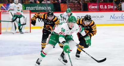 rögle vs skellefteå ishockey