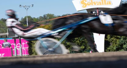 solvalla trav elitloppet