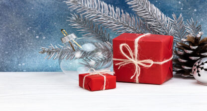 årets julklapp 2024