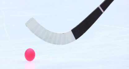 final elitserien bandy herrar & damer
