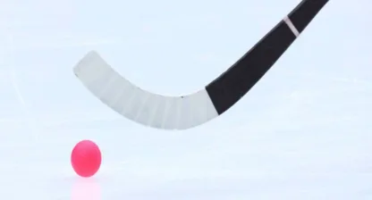 final elitserien bandy herrar & damer