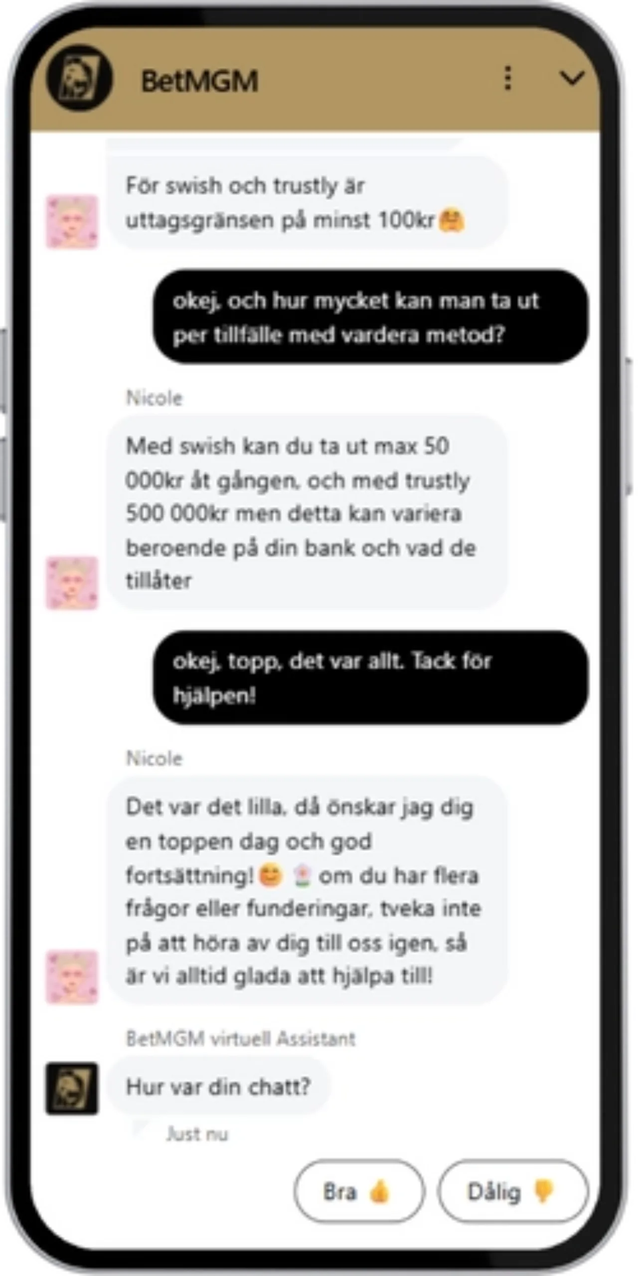 Utdrag från livechatt med BetMGM casino kundtjänst