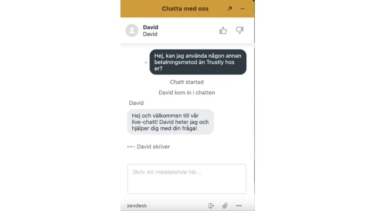 Livechatt med Premier Live Casinos kundtjänst gällande frågor om betalningsmetoder.