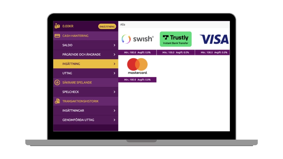 Betalningsvy hos SotsMagic som visar Swish, Trustly, VISA och Mastercard.