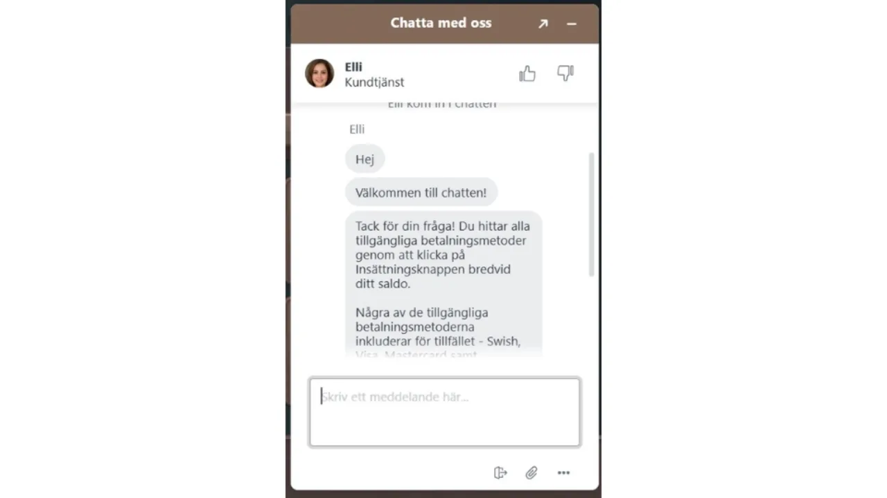 Lodur kundtjänst.